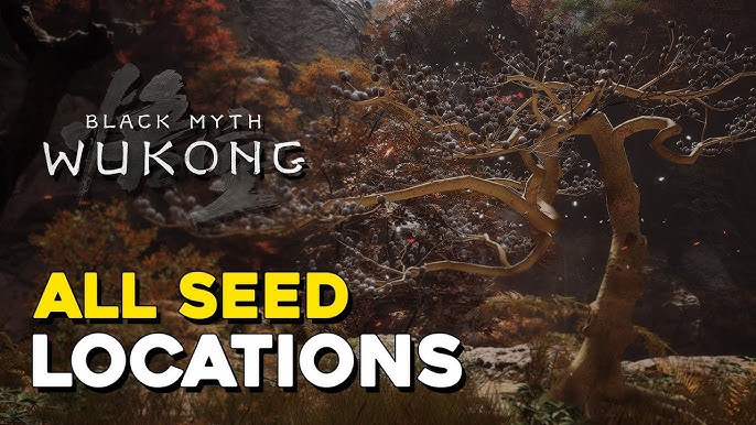 Cùng tìm Hạt Giống (Seeds)