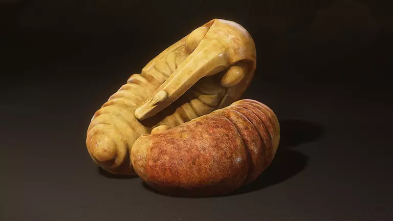 Toàn bộ vị trí Tam Đông Trùng (Awaken Wine Worm)