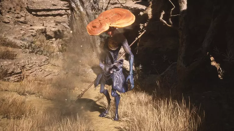 Tiểu Linh Chi Tinh