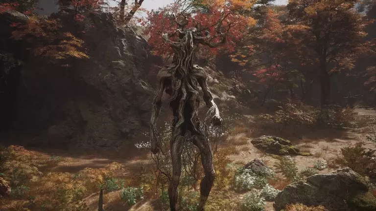 Thanh Nhiễm Nhiễm