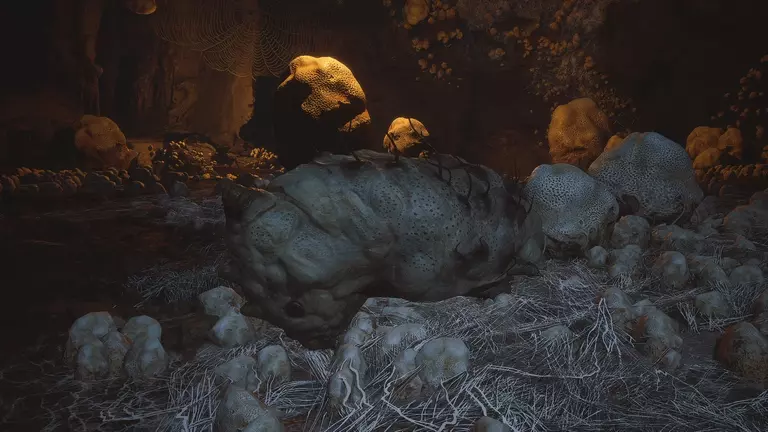 Cầm Lang Ấu Trùng