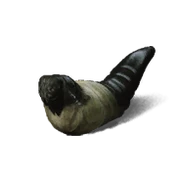 Cầm Lang Nguyên Thể