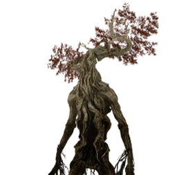 Thanh Nhiễm Nhiễm